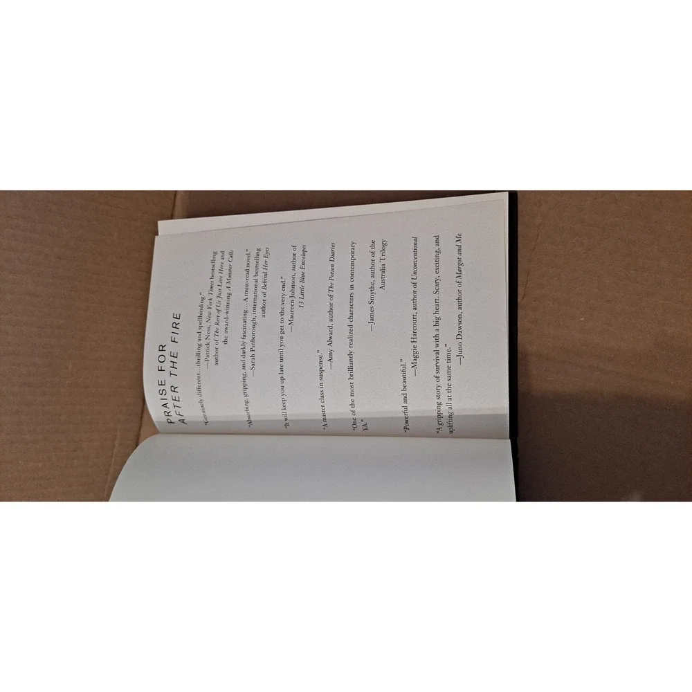 After‎ The Fire Hardcover By Will Hill
